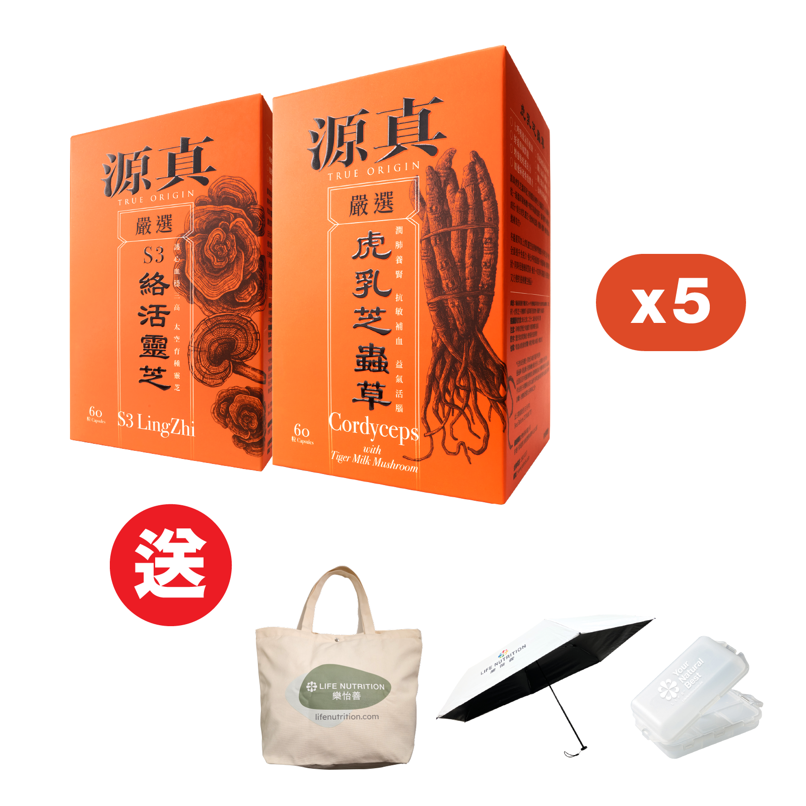 靈芝蟲草套裝
