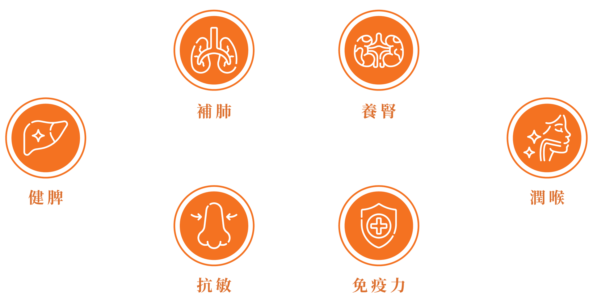 源真 True Origin